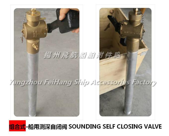 Marine Foot Type Sounding Self Closing Device Combined Measuring Depth Self Closing Valve Dn50 Cb T3778