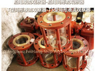 Flight T, TS type of cylindrical liquid flow observer, the observation hole cylindrical li