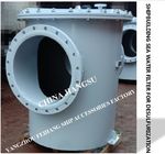 BRS500 CB/T497-2012 main seawater filter imported from bulk seawater pump for desulfurization system
