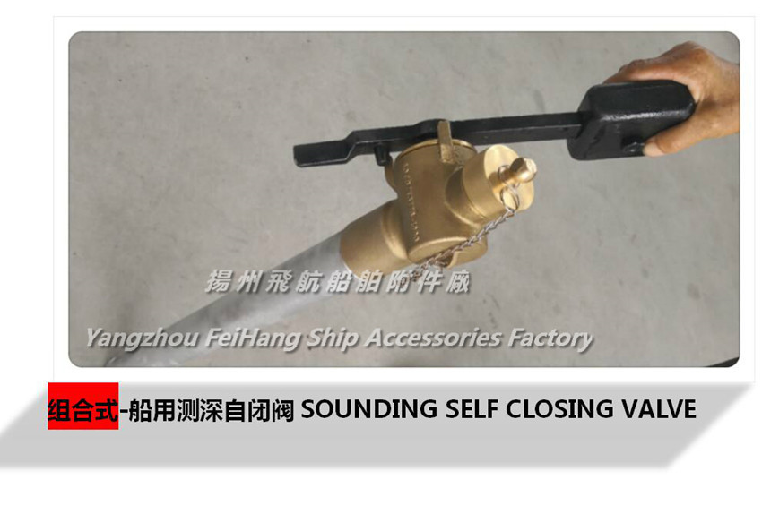 Marine Foot Type Sounding Self Closing Device Combined Measuring Depth Self Closing Valve Dn50 Cb T3778 99