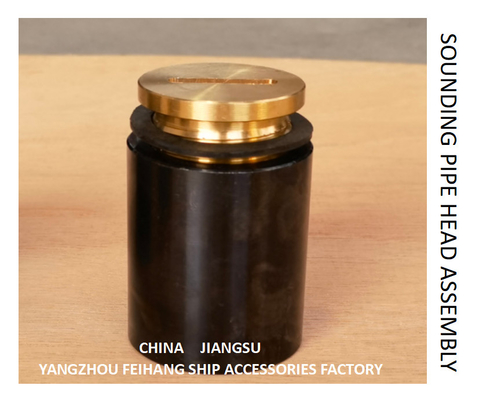 F. O. (fuel oil tank) fuel sounding pipe head, fuel tank temperature measuring head, sounding injection head C50 CB / t3