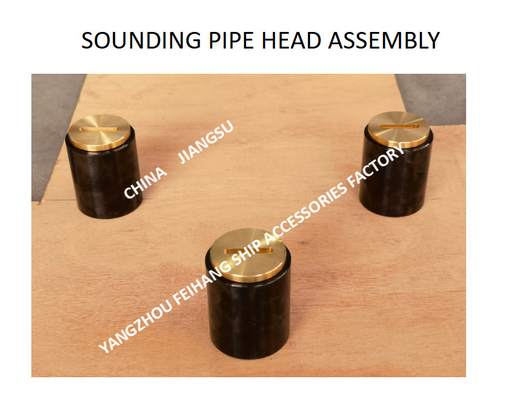 F. O. (fuel oil tank) fuel sounding pipe head, fuel tank temperature measuring head, sounding injection head C50 CB / t3