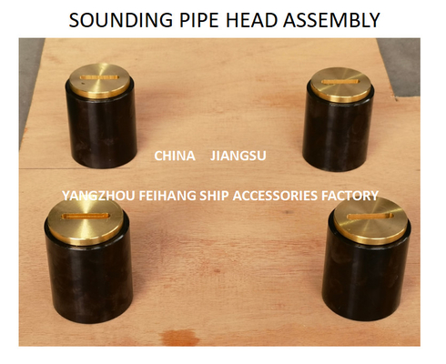 F. O. (fuel oil tank) fuel sounding pipe head, fuel tank temperature measuring head, sounding injection head C50 CB / t3