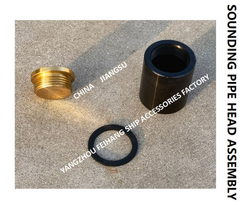 F. O. (fuel oil tank) fuel sounding pipe head, fuel tank temperature measuring head, sounding injection head C50 CB / t3