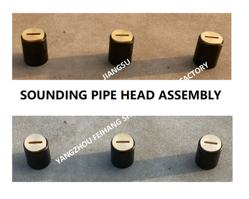 Sounding Head, Temperature Probe, Sounding Pipe Head Fh-A50 CB / T3778-1999 BODY CAST STEEL, PLUG CORE COPPER