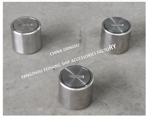 Stainless Steel Threaded Sounding Pipe Head Meets Standard GB/T3778-99