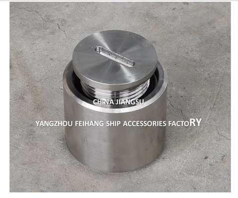 Stainless Steel Threaded Sounding Pipe Head Meets Standard GB/T3778-99