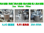 China's Jiangsu Yangzhou A straight through sea water filter, A straight through coarse wa