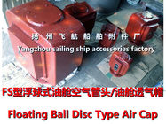 Floating air pipe head, FS65QT, CB/T3594-94 (nodular cast iron, float air pipe head, float