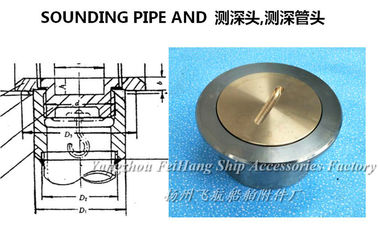 A100CB/T3778-99 stainless steel sounding injection head