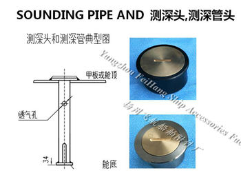 A100CB/T3778-99 stainless steel sounding injection head