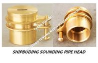 37AS-65A Sounding Injection Head For  Marine Sewage Treatment Tank Sounding Pipe Head, Sewage Treatment Tank