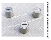 Stainless Steel 316L-Sewage Treatment Tank Depth Sounding Injection Head C40 CB/T3778-1999