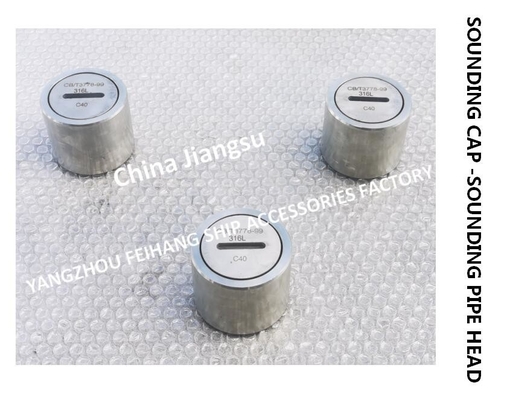 Stainless Steel 316L-Sewage Treatment Tank Depth Sounding Injection Head C40 CB/T3778-1999