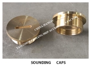 Sounding pipe cap for marine sewage treatment tank CB/T3778-1999